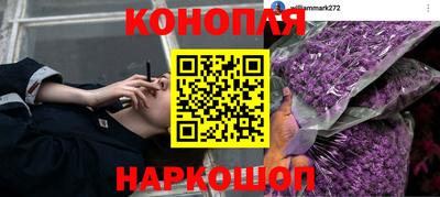 стаф Изобильный
