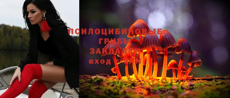 гидра вход  Родники  Галлюциногенные грибы MAGIC MUSHROOMS 