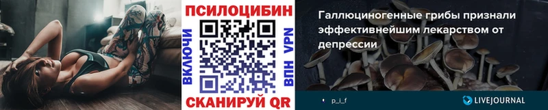 МЕГА вход  Родники  Галлюциногенные грибы Psilocybe  дарнет шоп 