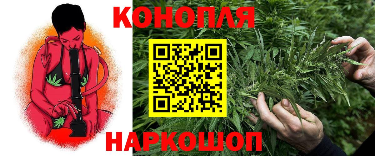 Канабис Ganja  Бошки Шишки White Widow  Конопля тримм  Родники  Конопля AK-47  Вход с VPN 